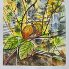 The Week in Watercolour #5