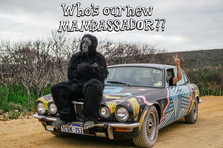 Man in gorilla suit skateboarding on hands along a beach path.