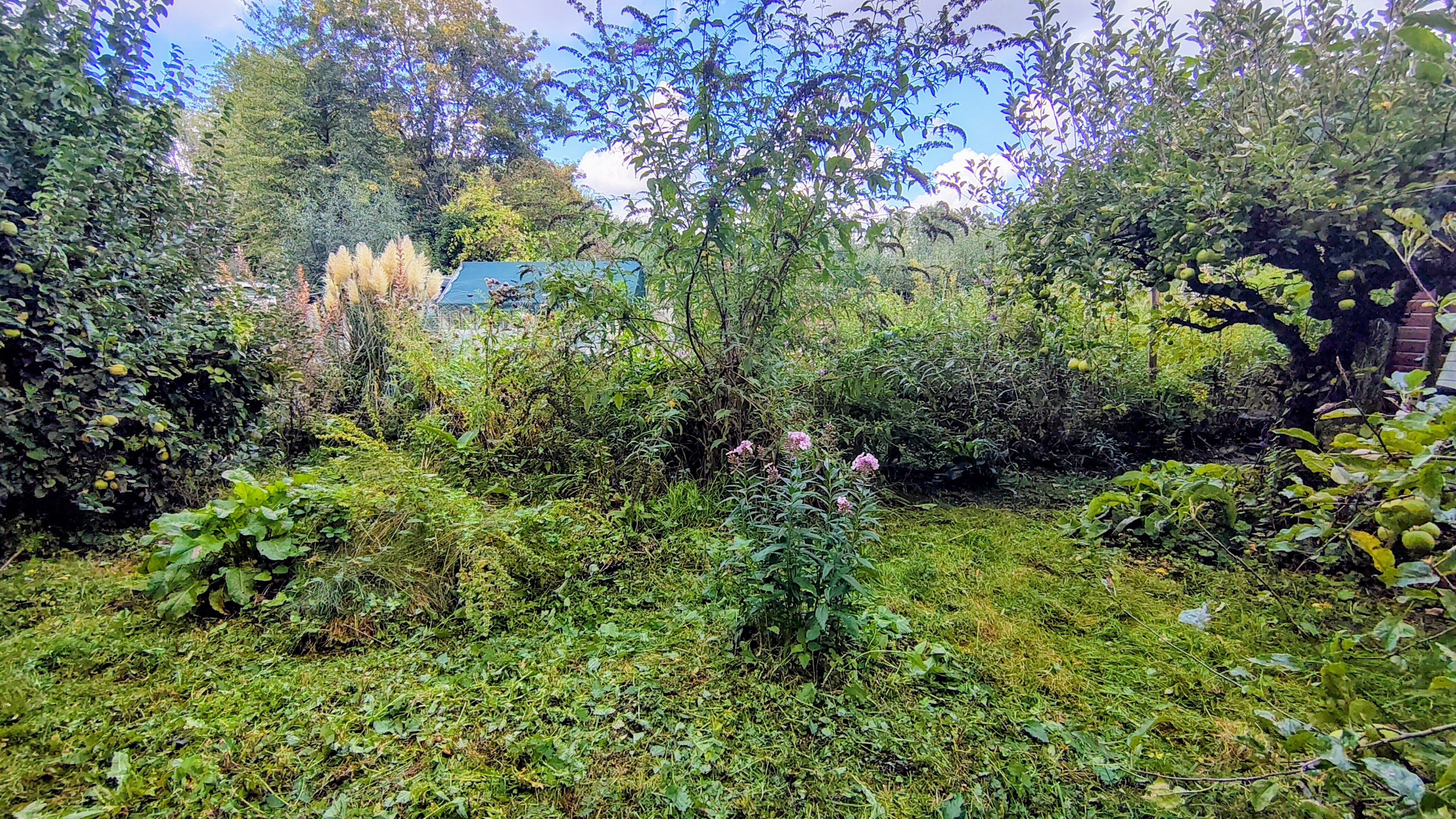 5 tuinregels voor bloeiende kunsten