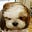 DoggieCombover's avatar