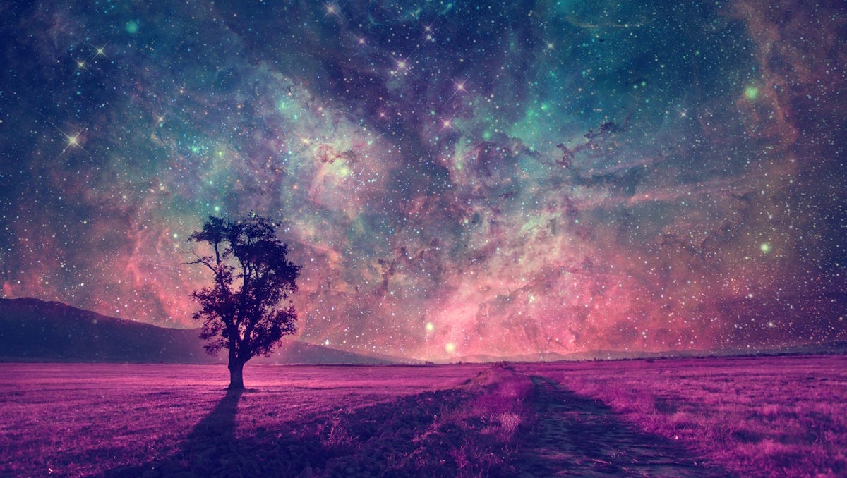 Tree silhouetted against a colourful starry sky