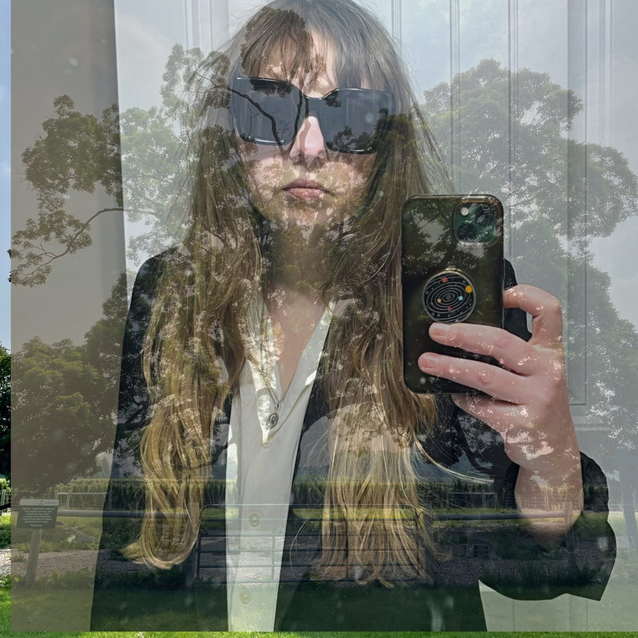 The Discomfort Maple