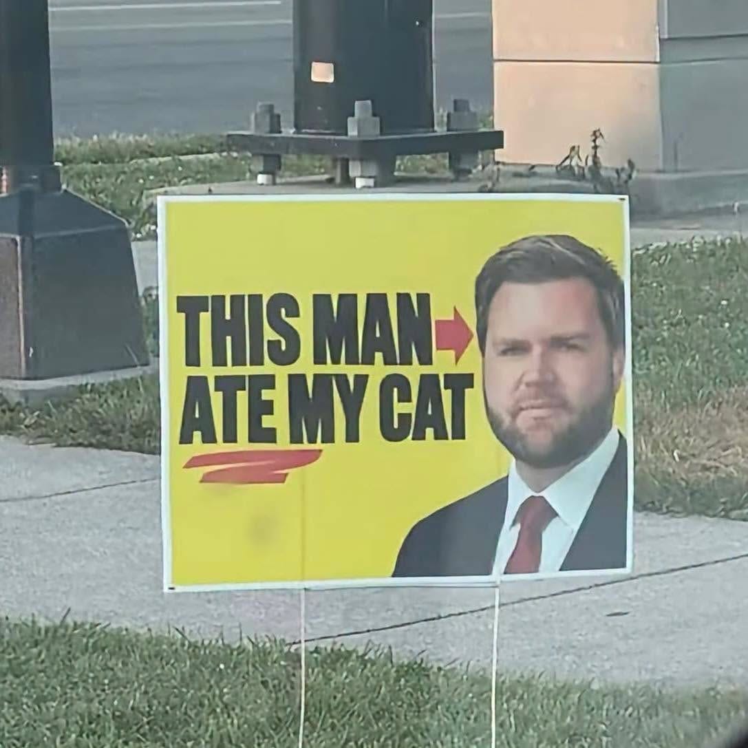 May be an image of cat and text May be an image of cat and text