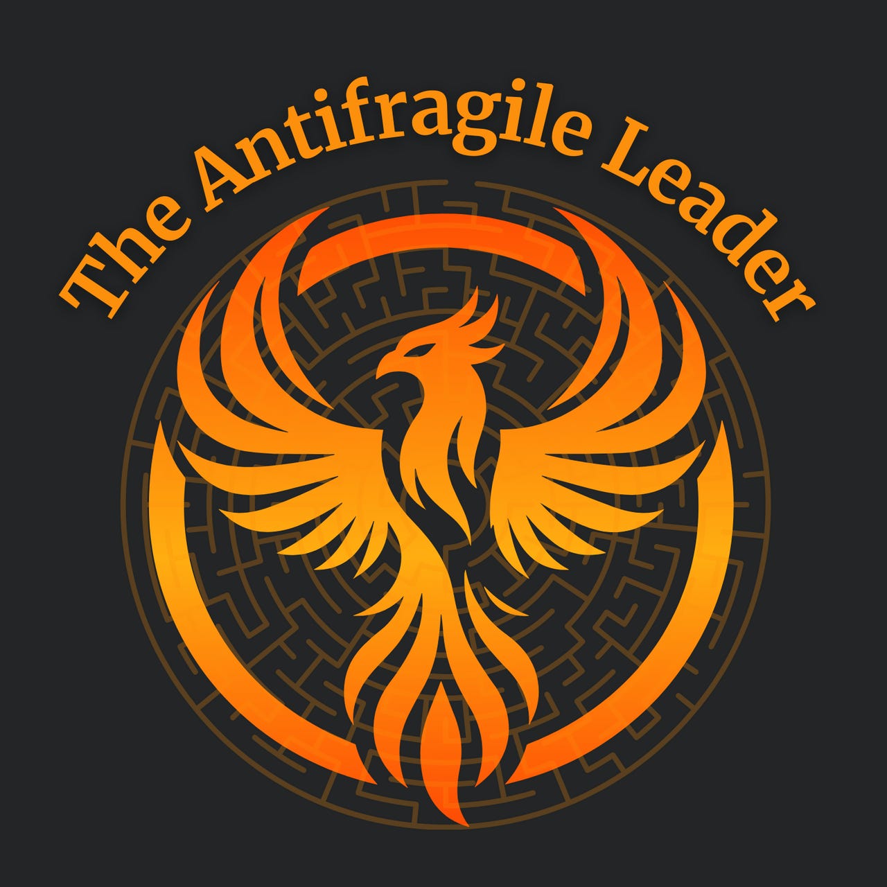 The Antifragile Leader