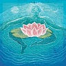 Fluid & Rooted
