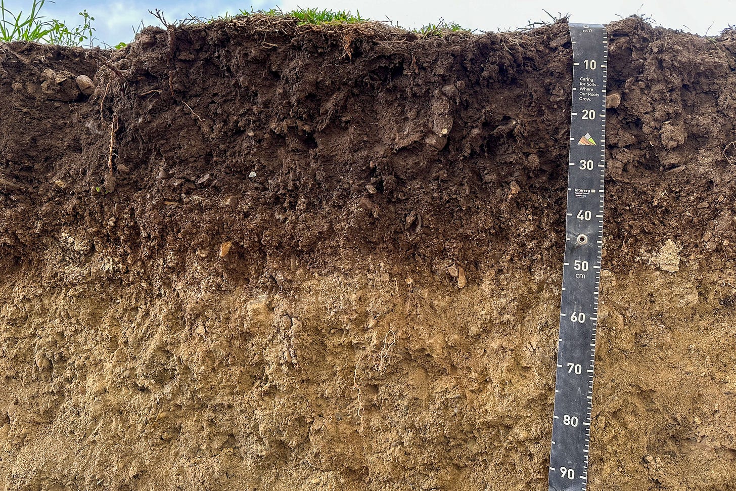 Querschnitt eines landwirtschaftlichen Bodens mit deutlich sichtbaren Bodenschichten; rechts eine Messlatte bis 90 Zentimeter Tiefe, oben dunkler humusreicher Oberboden, darunter hellere, dichtere Unterbodenzonen.