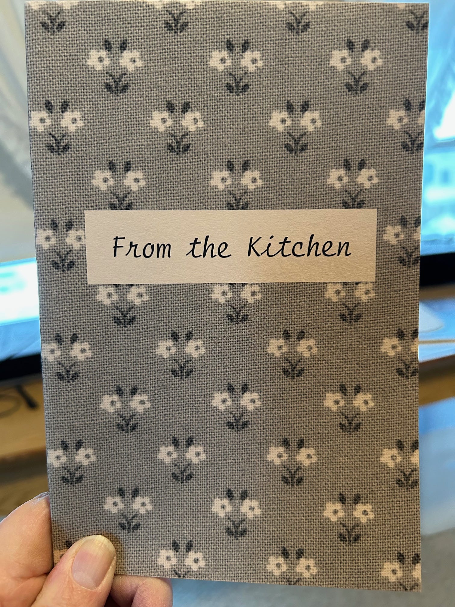 Zine Review: From the Kitchen - by Frederick Moe