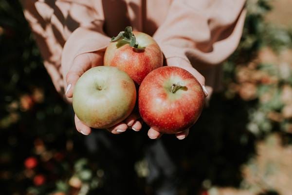 Photo by Natalie Grainger on Unsplash
