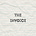 Invoice Newsletter