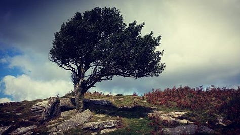 landscape photos from Devon