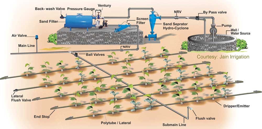 ICID: Resources - Irrigation - Drip Irrigation