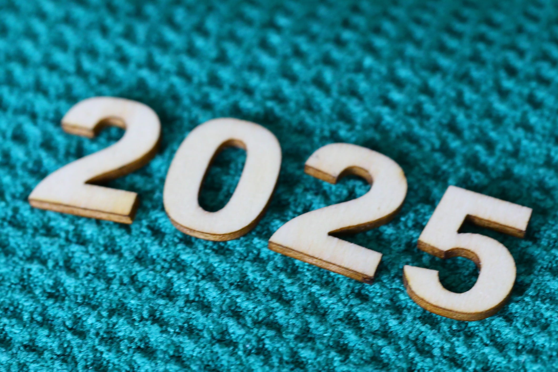 A year of Oligarch Watching