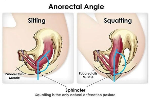 anorectal angle