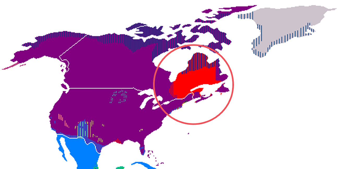 Why Doesn't North America Speak French?