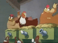 Chicken Crazy GIFs - Find & Share on GIPHY