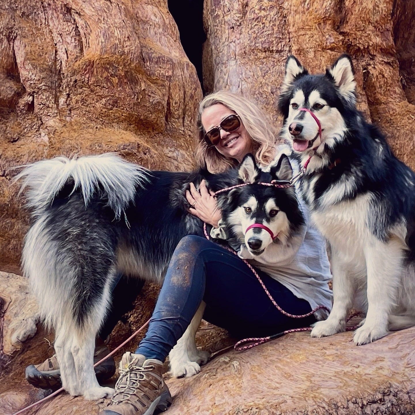 Pamela Fagan Hutchins logo