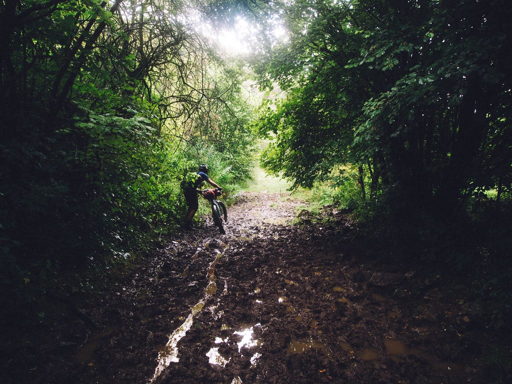 Muddy trails Muddy trails