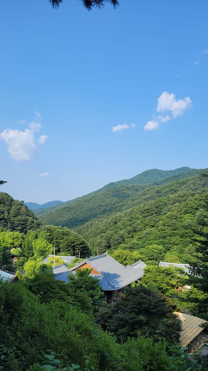 left: a photo of ji-youn smiling in a yellow dress on a small walkway bridge, high among trees. right: photo of a mountain valley during the day, with traditional korean-style roofs of buildings peeping through.
