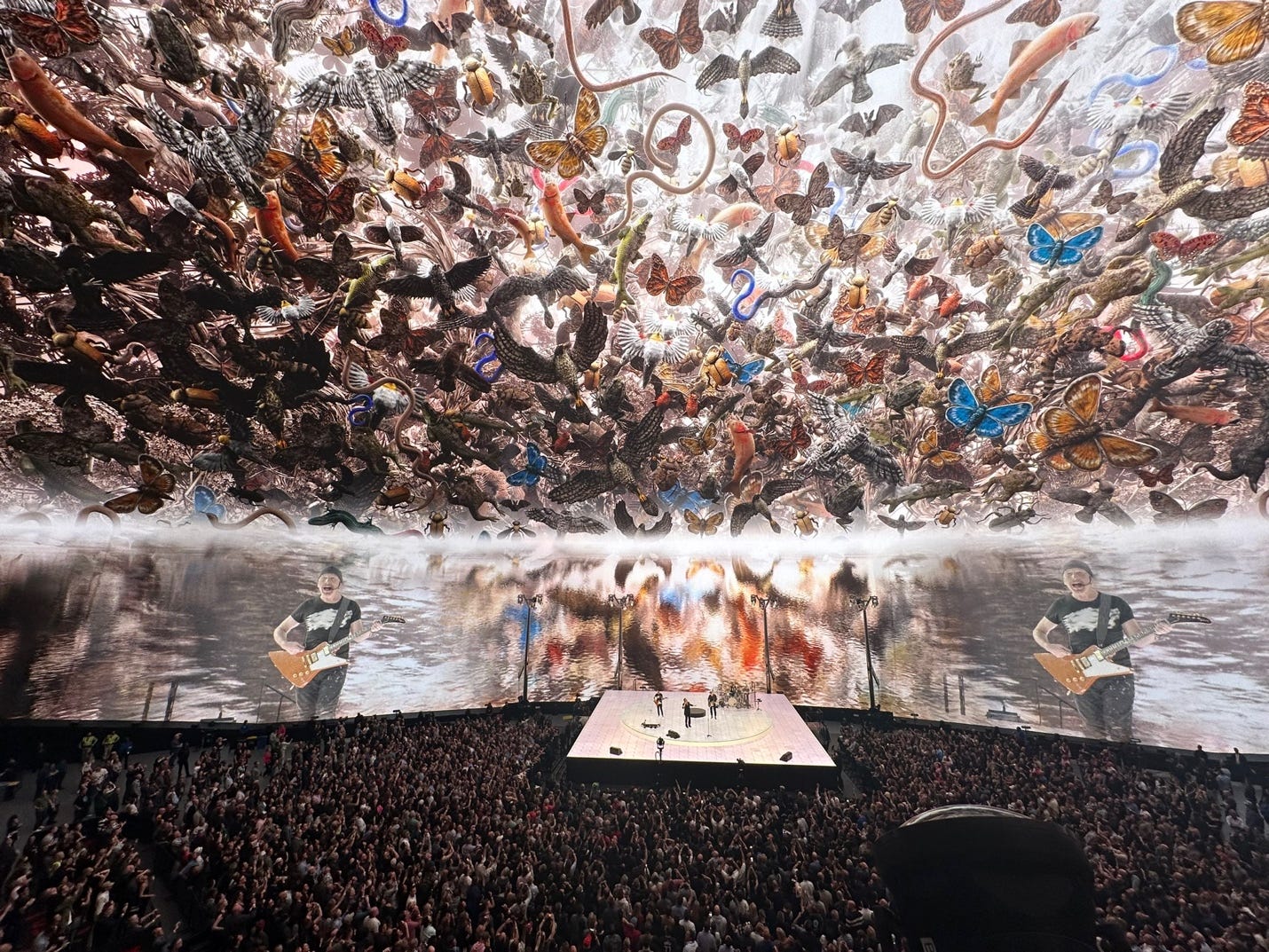 A large crowd of people watching a concert

Description automatically generated
