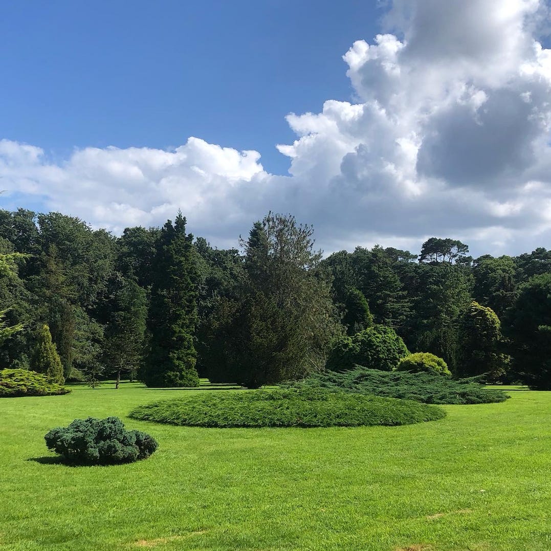 Artwork for Connecting Lines