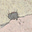 enne's avatar
