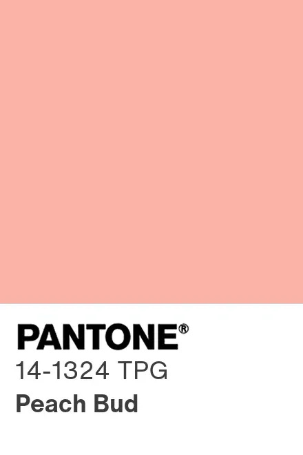 PANTONE® Deutschland | PANTONE® 14-1324 TPG - Find a Pantone ...