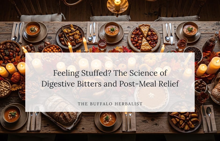 Feeling Stuffed? The Science of Digestive Bitters and Post-Meal Relief