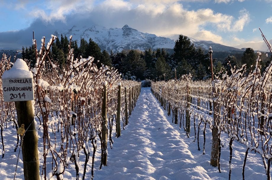 Argentina announces Trevelin as new Patagonia GI - Decanter