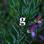GroundedCo.'s avatar