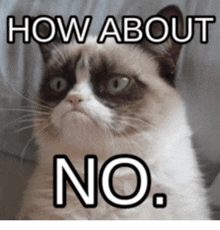 a grumpy cat with the words " how about no " written below it a grumpy cat with the words " how about no " written below it