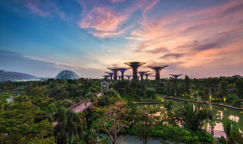 https://d22ir9aoo7cbf6.cloudfront.net/wp-content/uploads/sites/2/2015/07/Gardens-by-the-Bay.jpg