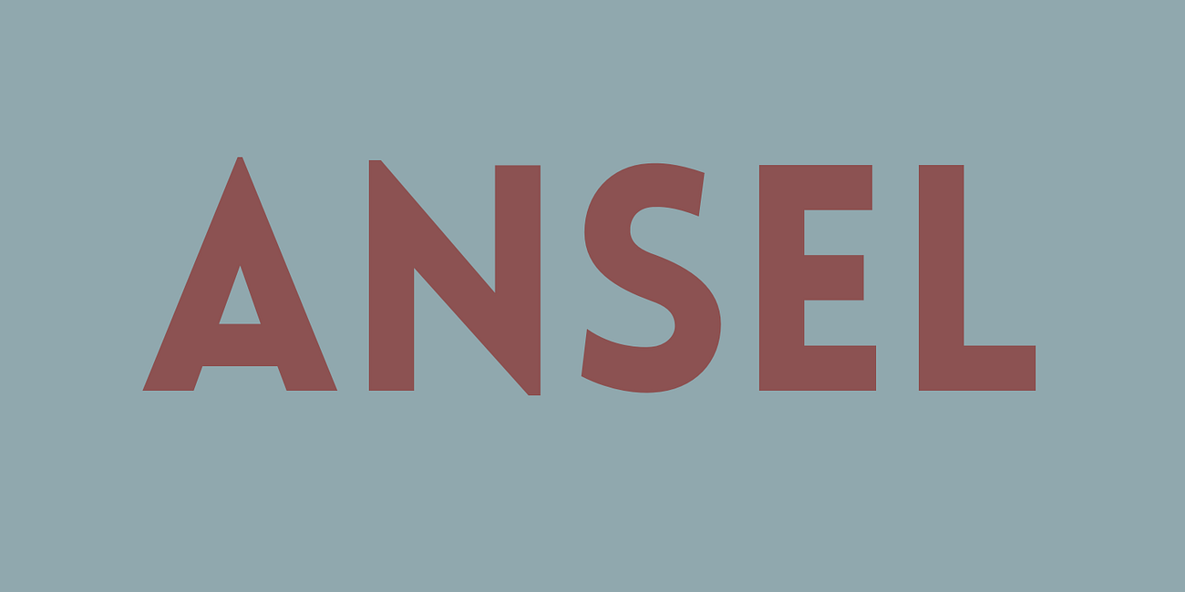 Name of the Day: Ansel