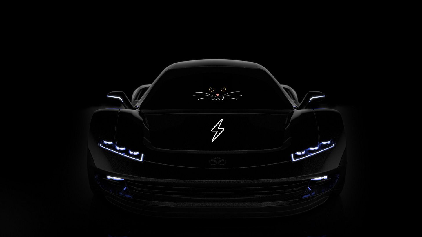 Image of cat face inside car