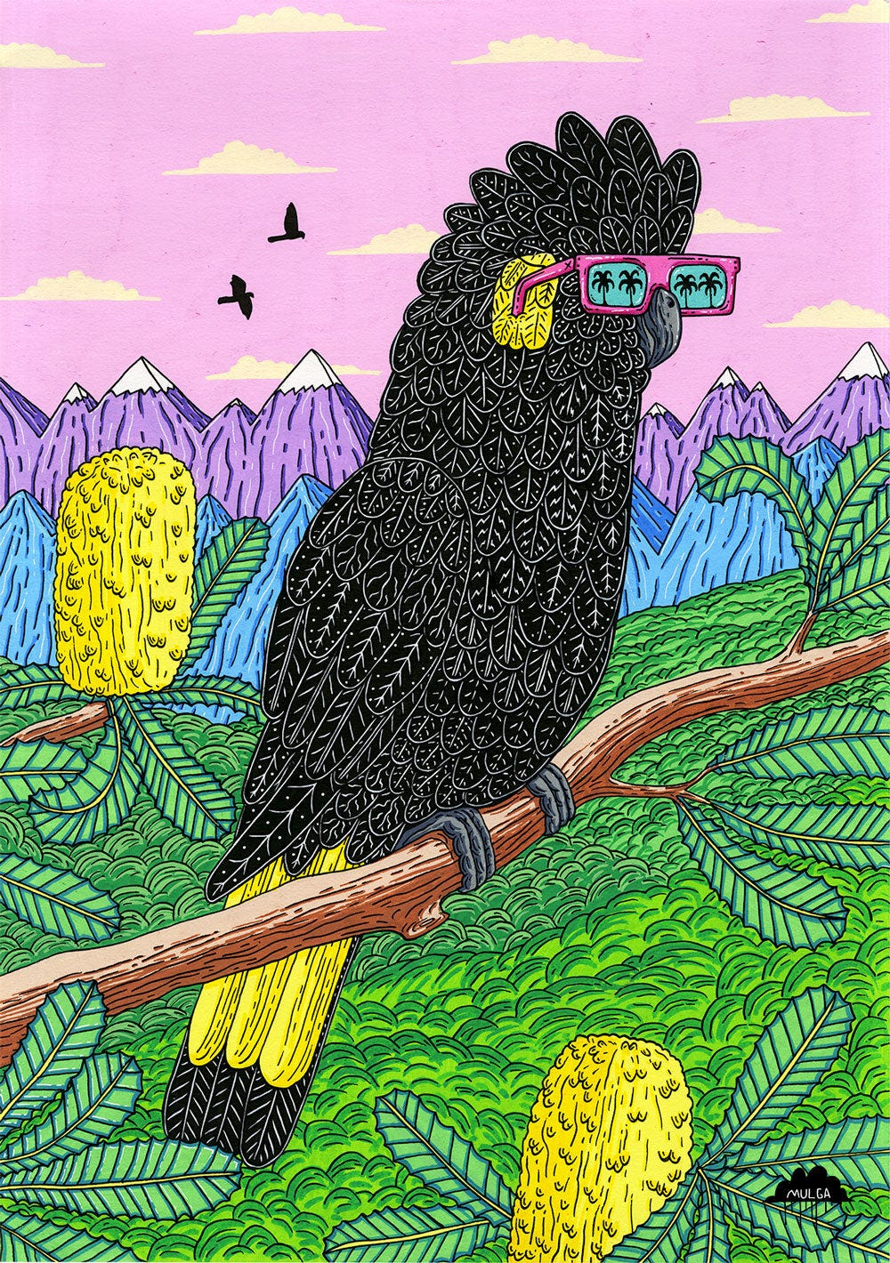 Bettina the Black Cockatoo - Fine Art Print – Mulga The Artist