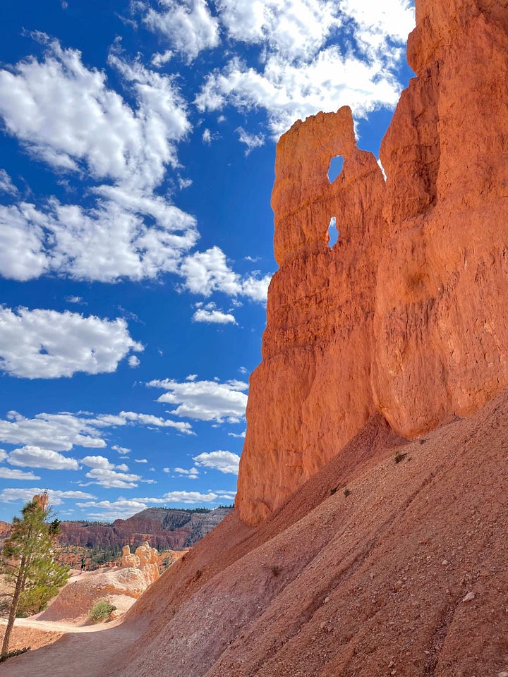 Photos of Zion and Bryce NP by Sabrina Simpson