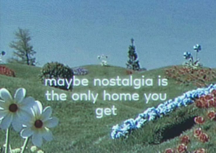 This may contain: there is a tv screen with flowers in the foreground and a quote on it