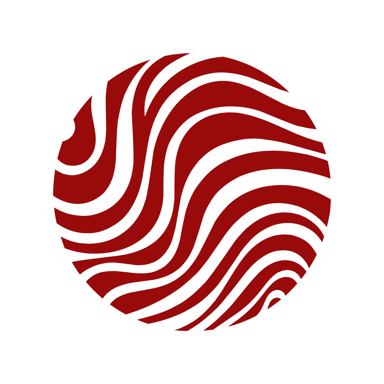 Nexus Flow Newsletter