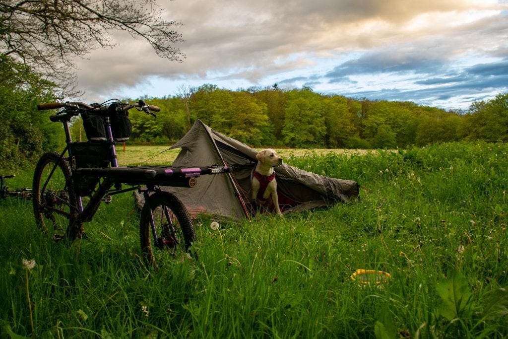 velo avec un tente dans une prairie et un chien a cote