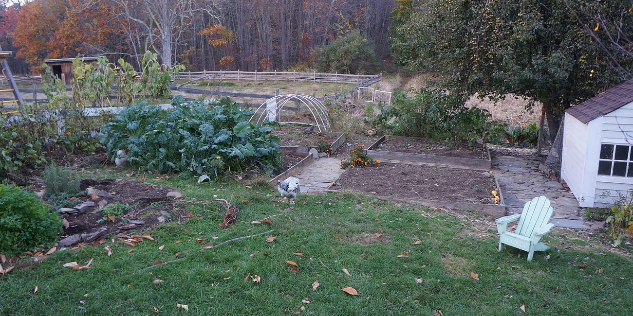 40 Homesteading Mistakes and How to Avoid Them 