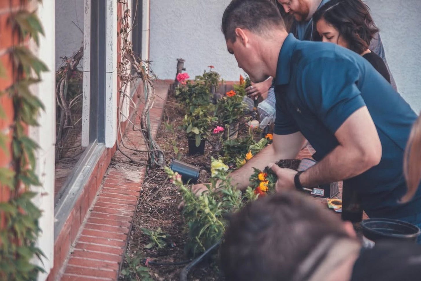 We can all get involved bringing back nature to even the smallest urban spaces