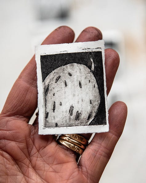 Dry Point wasp gaul seaweed milkweed stick with lichen shell anna's oak leaf