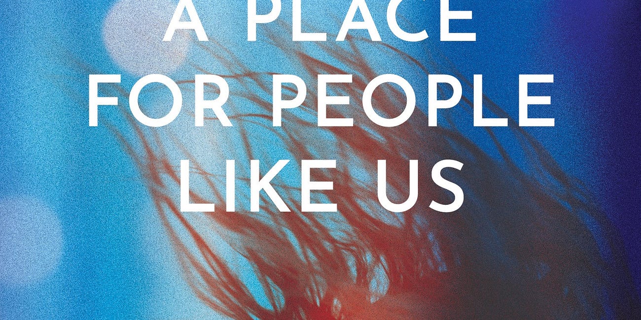 A Place For People Like Us by Danila Botha