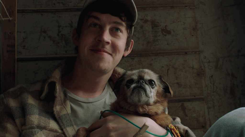 Alex Sharp - Cast Alex Sharp - Cast