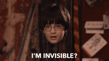 Invisibility Cloak GIFs | Tenor