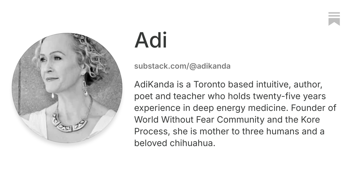 Adi | Substack