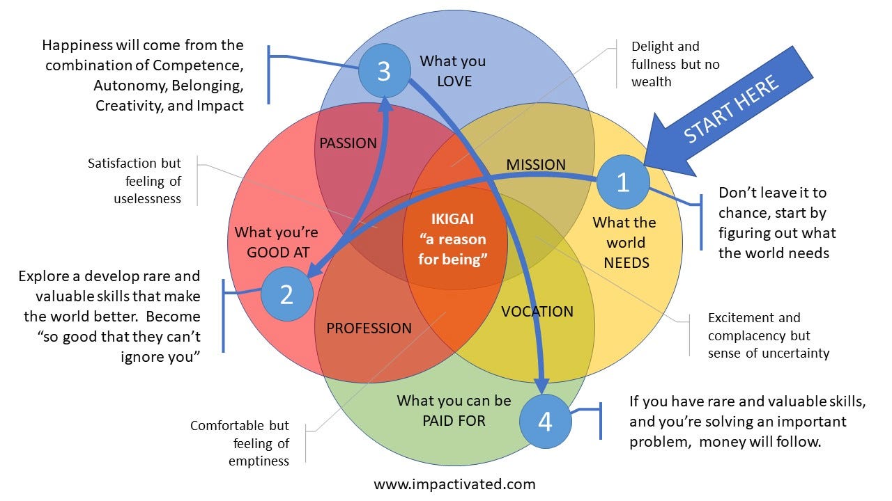 Turning Your Passions into a Business - Ikigai Method