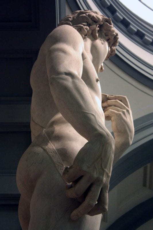 david michelangelo