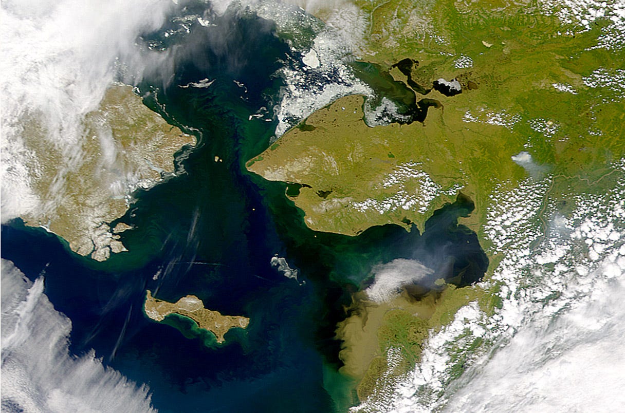 Bering Strait, Alaska seen by SeaWiFS.