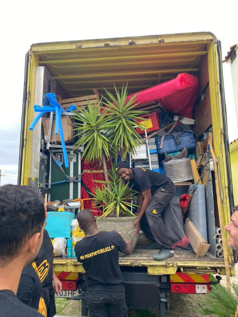 A man in the back of a lorry full of furniture with a Yukka plant