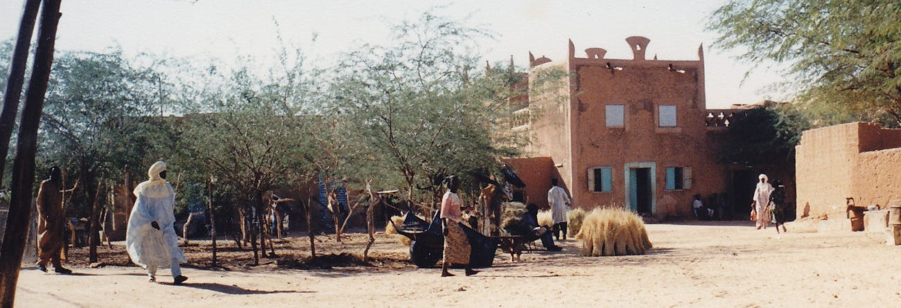 Muslim slave trade in pre-colonial Africa 